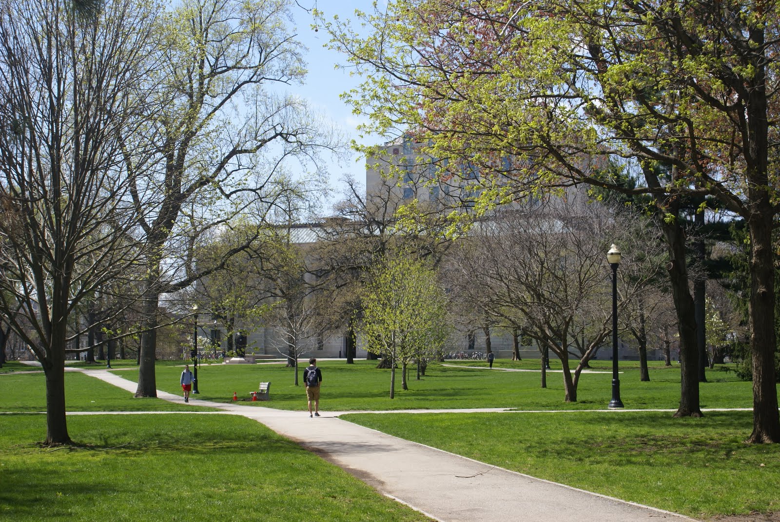 A squirrel's view of the oval.